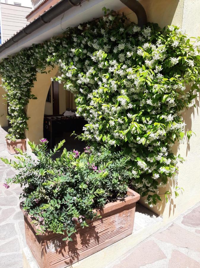 Orsini * Roma